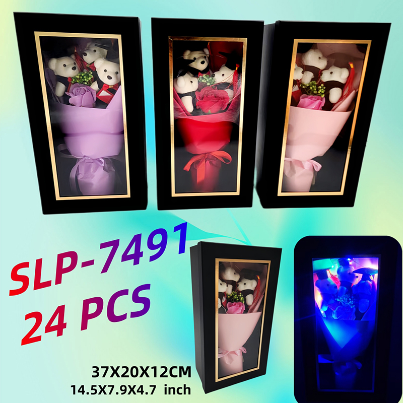SLP-7491 CS24